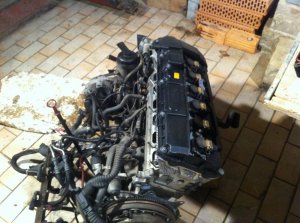 Mein Sommerfahrzeug - 3er BMW - E36 Mein Sommerfahrzeug - 3er BMW - E36