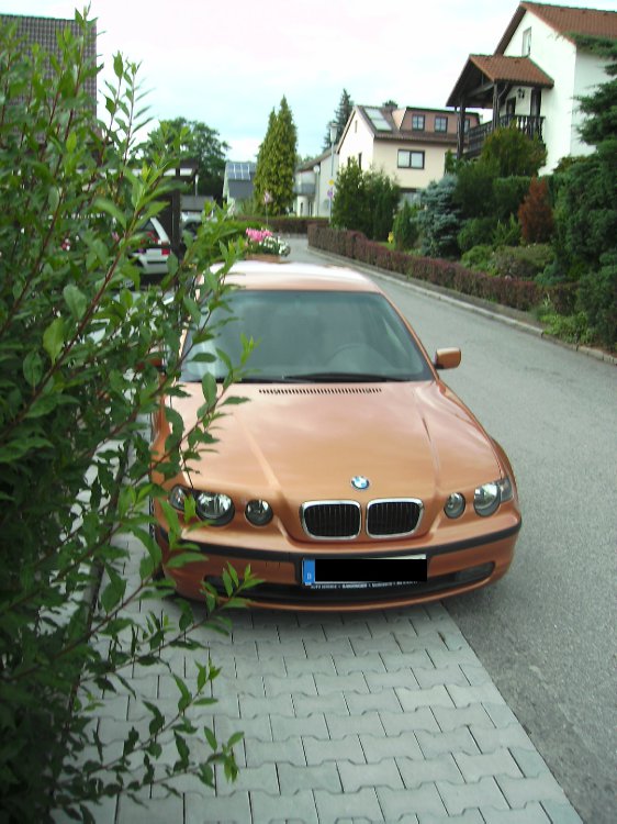 E46, 316ti Compact - 3er BMW - E46