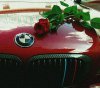 BMW E46 320 Ci  (Red Devil) - 3er BMW - E46 - 1379749_724971810851018_156542062_n.jpg