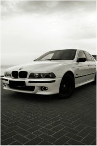 BMW e39 523i Weisser Brller - 5er BMW - E39