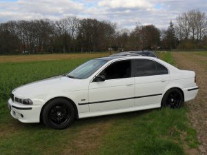 BMW e39 523i Weisser Brller - 5er BMW - E39