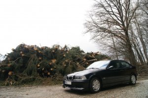 E36, 316i Compact - 3er BMW - E36