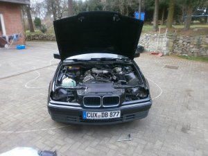 Mein neues Projekt e36 316i - 3er BMW - E36