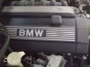 Mein groer kleiner ;-) - 5er BMW - E39 - Bild689.jpg