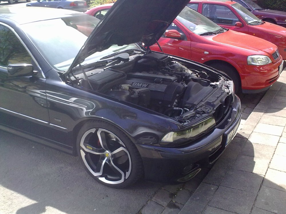 Mein groer kleiner ;-) - 5er BMW - E39