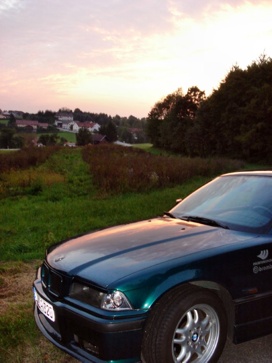 Dornrschenschlaf...E36 Coupe - 3er BMW - E36