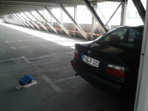 Dornr�schenschlaf...E36 Coupe - 3er BMW - E36