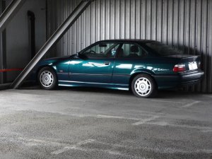 Dornr�schenschlaf...E36 Coupe - 3er BMW - E36