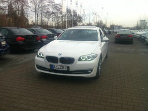 BMW 523i F10 White Pearl - 5er BMW - F10 / F11 / F07