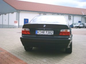 316i, E36,Bj.95, Little Black Bull - 3er BMW - E36 316i, E36,Bj.95, Little Black Bull - 3er BMW - E36