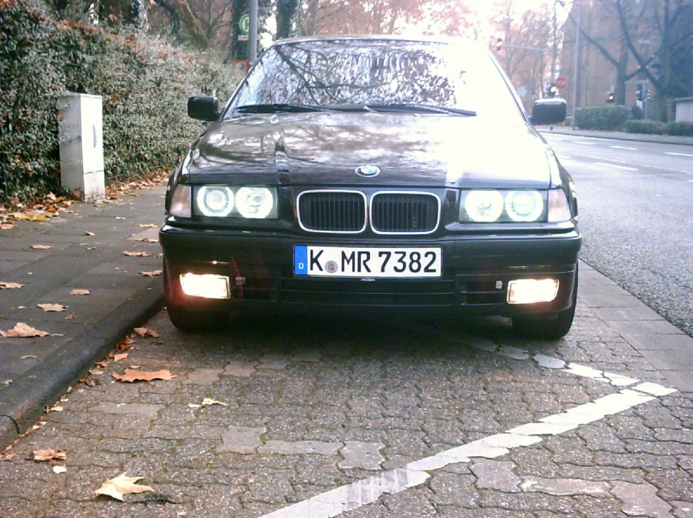 316i, E36,Bj.95, Little Black Bull - 3er BMW - E36
