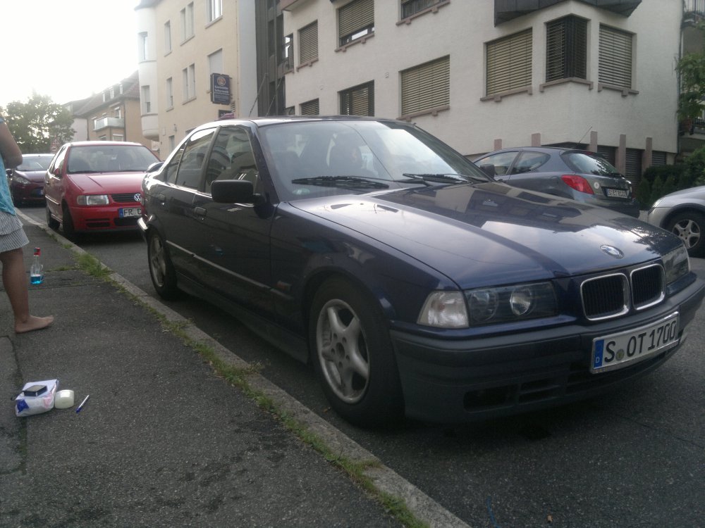 Meine Weibchen - 3er BMW - E36