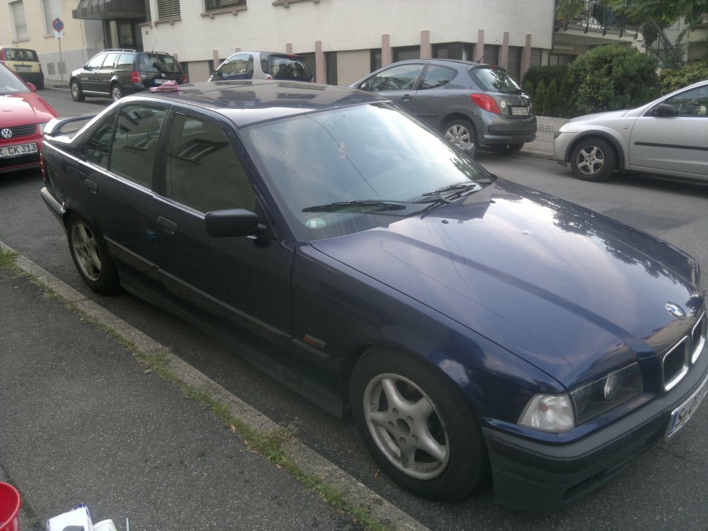 Meine Weibchen - 3er BMW - E36