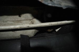 Der Mysticblaue | E46 316i - 3er BMW - E46