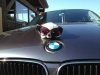 Little Lady - 1er BMW - E81 / E82 / E87 / E88 - carprot5.jpg