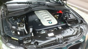 E61 Tiefgrn M Paket - 5er BMW - E60 / E61
