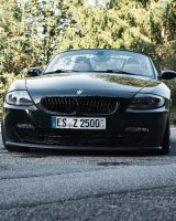 Z4 E85 Roadster 2.5i - BMW Z1, Z3, Z4, Z8 - BMW Z4 Front (1).jpg