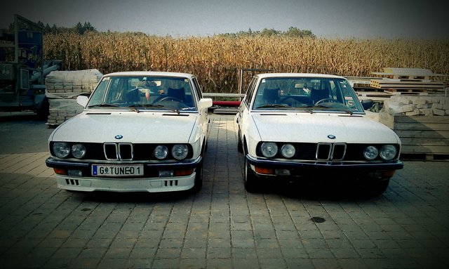 White Pearl 2 | 520i E28 - Fotostories weiterer BMW Modelle