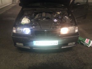 Cosmos 323i - 3er BMW - E36