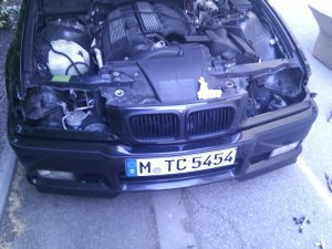 Cosmos 323i - 3er BMW - E36