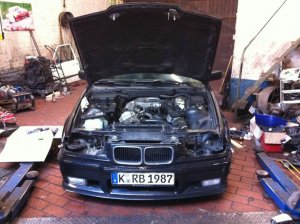 Black Diamond - 3er BMW - E36