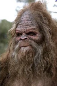 sasquatch