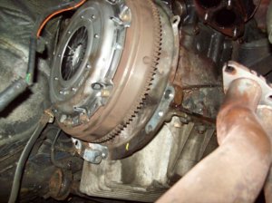 E36 Touring 318i Autogas - 3er BMW - E36
