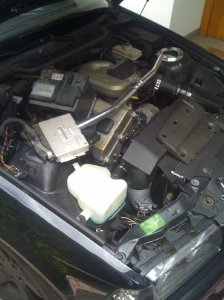My first e36 compact - 3er BMW - E36