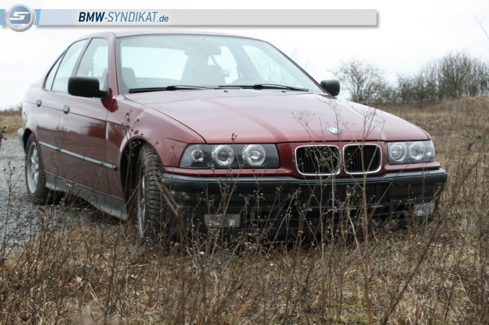 BMW-Syndikat Fotostorie
