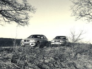 E46 Limo M II - 3er BMW - E46