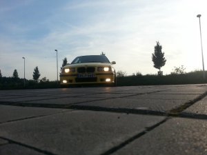 Compact 323ti Dakargelb - 3er BMW - E36