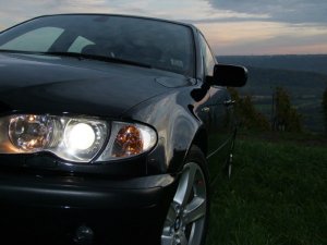 Frisch eingetroffen... - 3er BMW - E46
