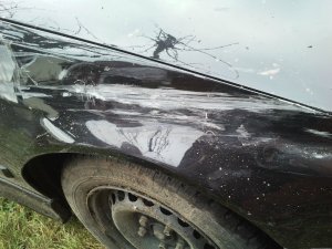 Mein erster ;) - 3er BMW - E36