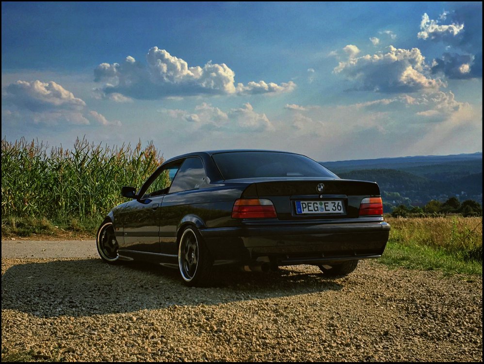 Daily E36 Coupe Styling 21 Schaufelrder - 3er BMW - E36