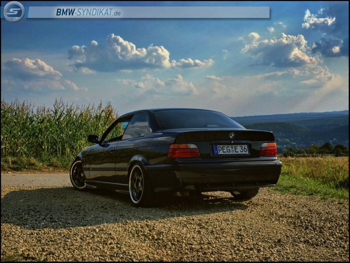 Daily E36 Coupe Styling 21 Schaufelräder - 3er BMW - E36