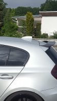 BMW Lackierung X3 Flosse