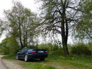 E36 Cabrio 2,8l back to OEM - 3er BMW - E36