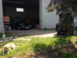 E36 Cabrio 318i ♥ - 3er BMW - E36