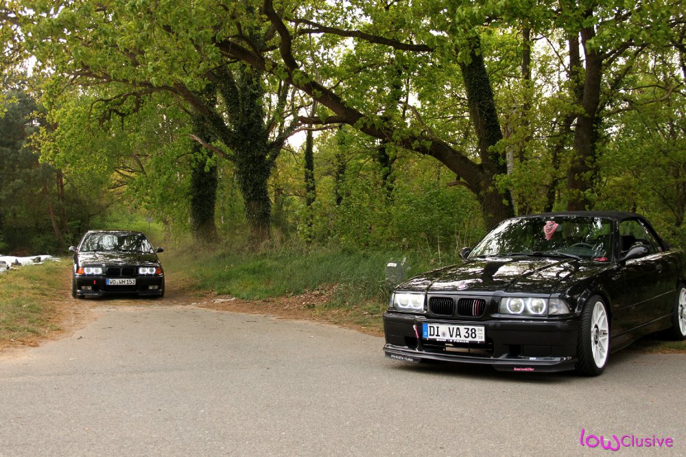 E36 Cabrio 318i ♥ - 3er BMW - E36