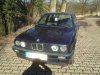 Herr Blau - 3er BMW - E30 - IMG_0190[1].JPG