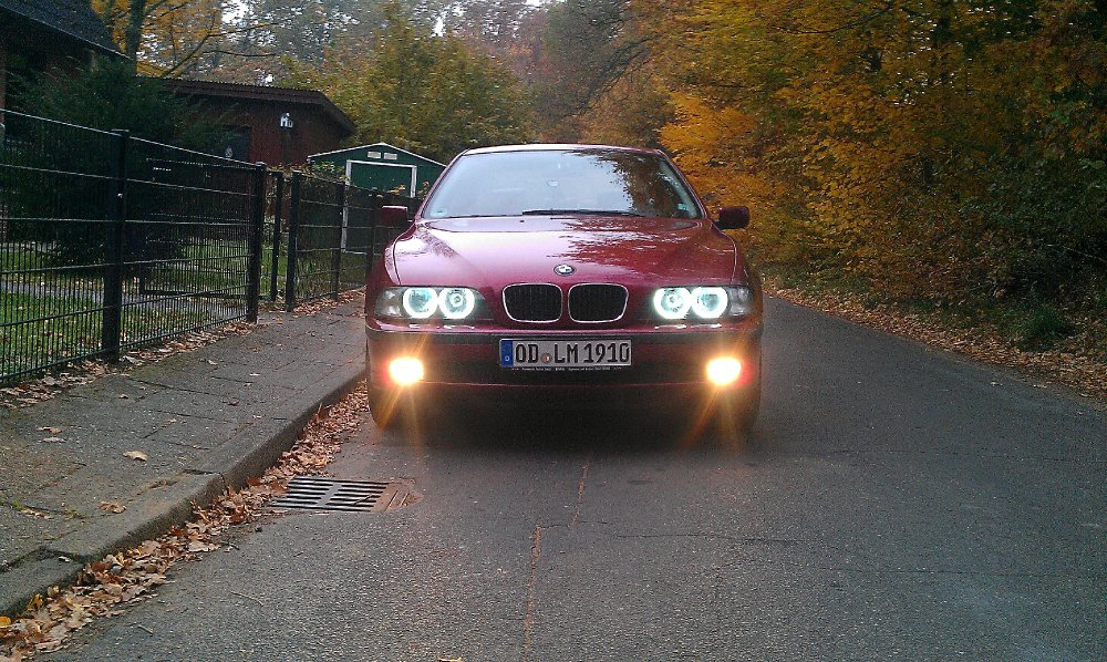 Mein 39 - 5er BMW - E39