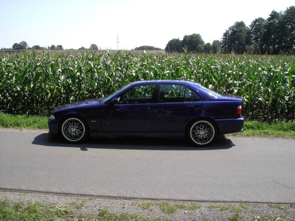 e36 (Velvet Blue) individuell - 3er BMW - E36