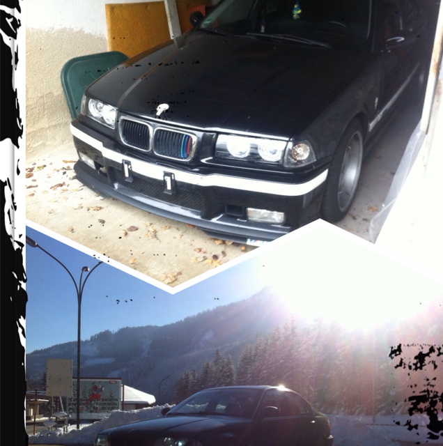 E46 323 - 3er BMW - E46