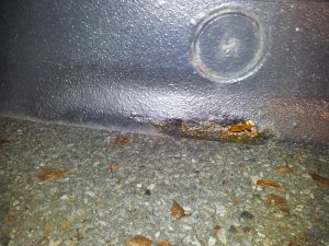 als ich ihn kaufte bis jezt 318i m40 - 3er BMW - E36