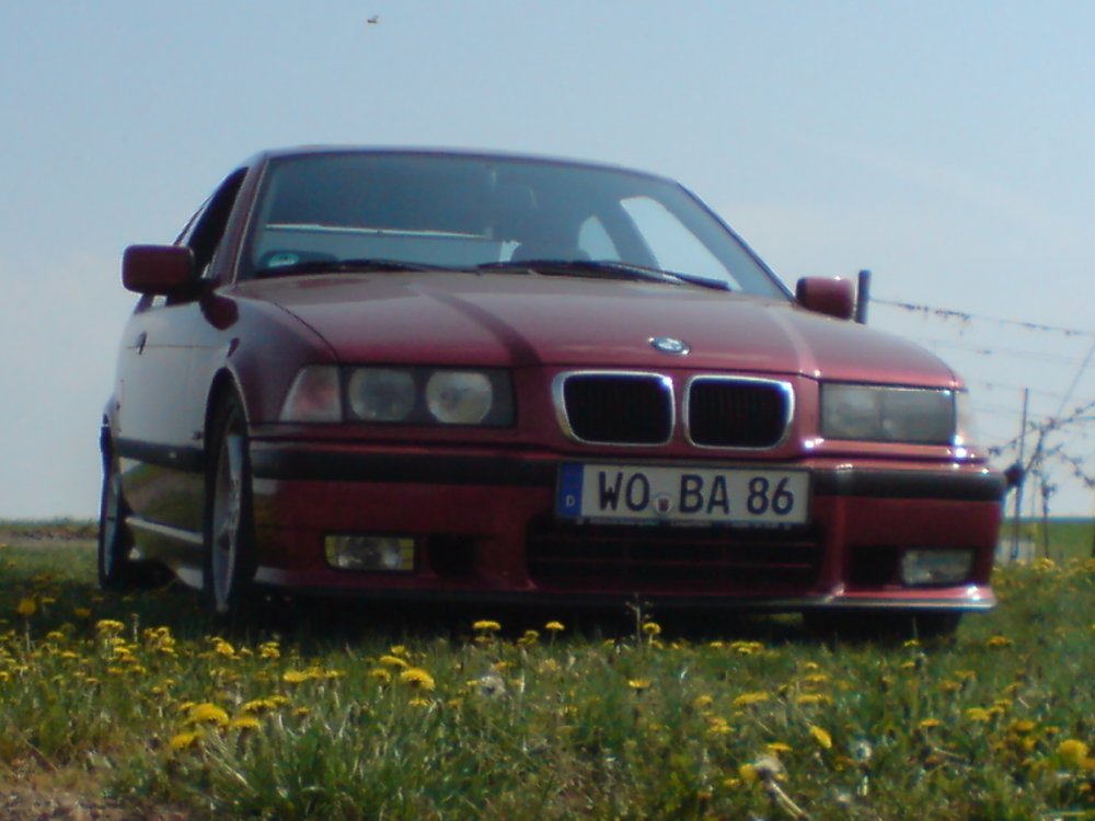 mein spassmobil e36 323ti - 3er BMW - E36