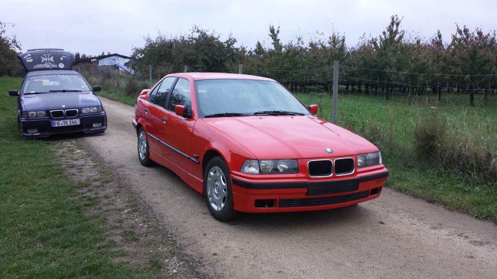 Unser Sorgenkind - 3er BMW - E36