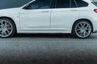 BMW X1 F48 X-Drive 20d LCI - BMW X1, X2, X3, X4, X5, X6, X7 - CA102917-min.jpg