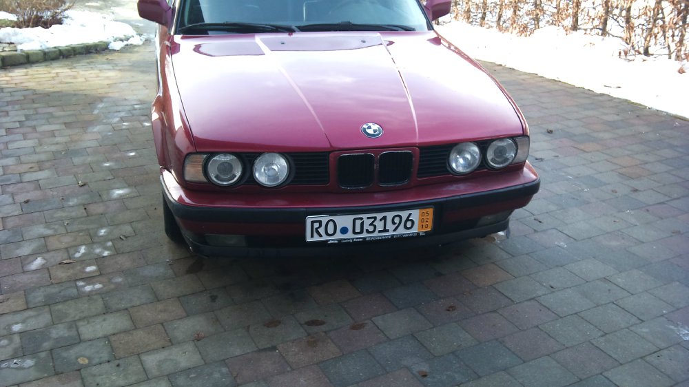 ratte - 5er BMW - E34