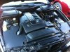 E39 530da Intercooler - 5er BMW - E39 - IMG_0088.JPG