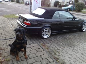 M3 Cabrio - 3er BMW - E36